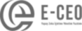 E-CEO