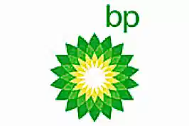 Bp Petrol 8