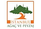 Bakı Agac Ve Peyza 7
